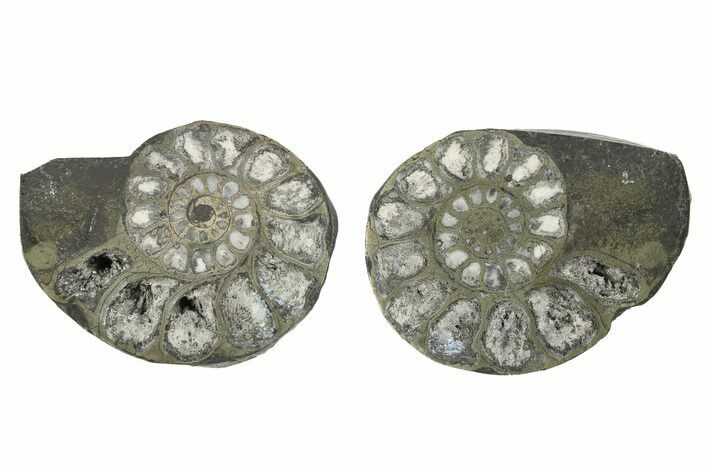 Pyritized Cut Ammonite Fossil Pair - Morocco #276647